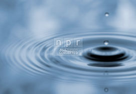 NPR All Things Considered